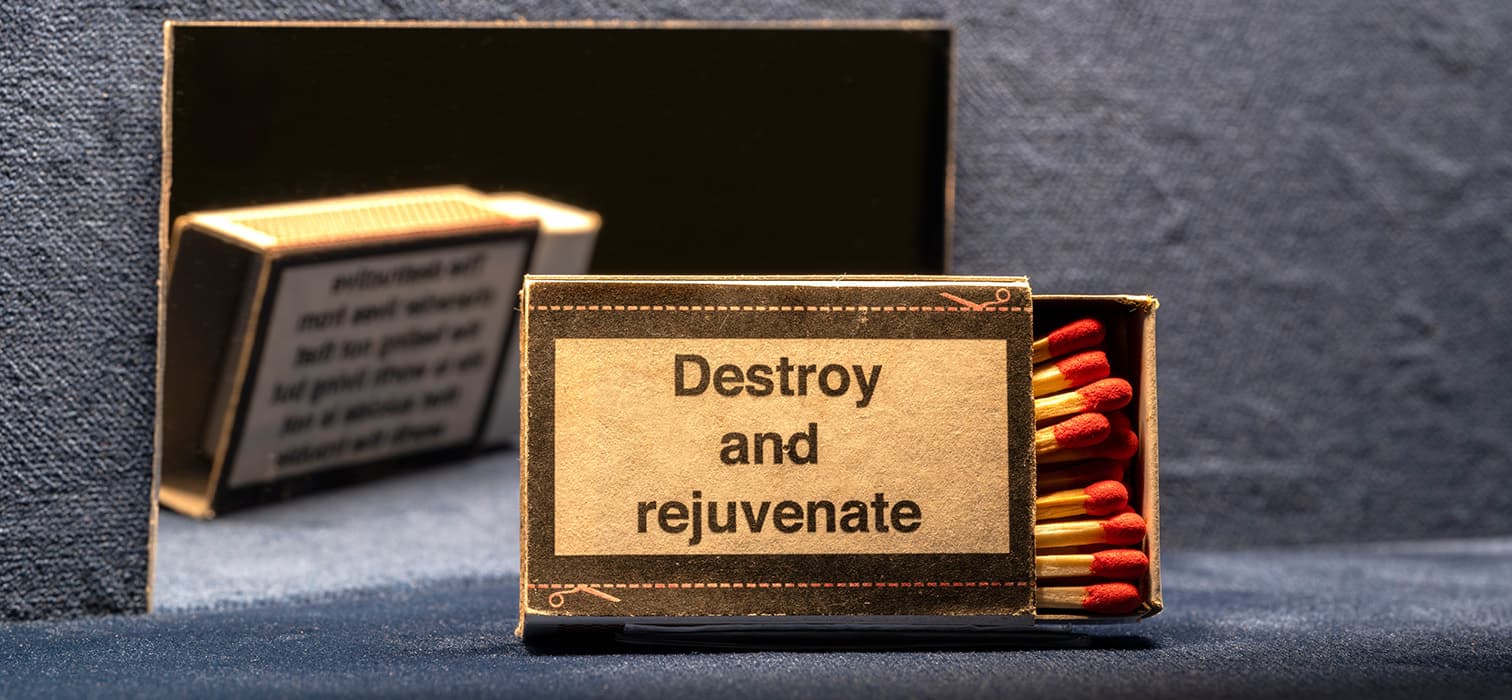 Krizler Çağında Sanat: Basınç Altında Suyun Üstünde