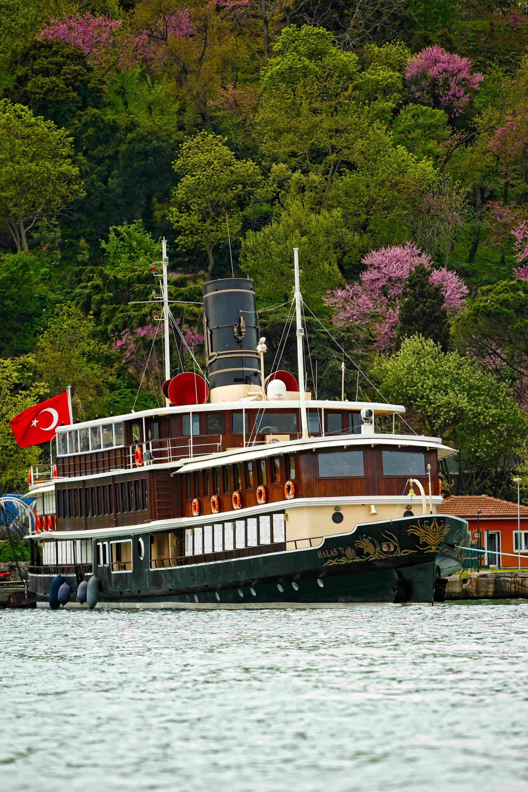 Yüzyıllık Miras: M/Y HALAS 71