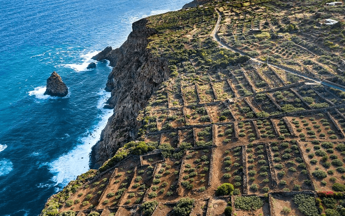 Where Do Italians Go on Vacation?