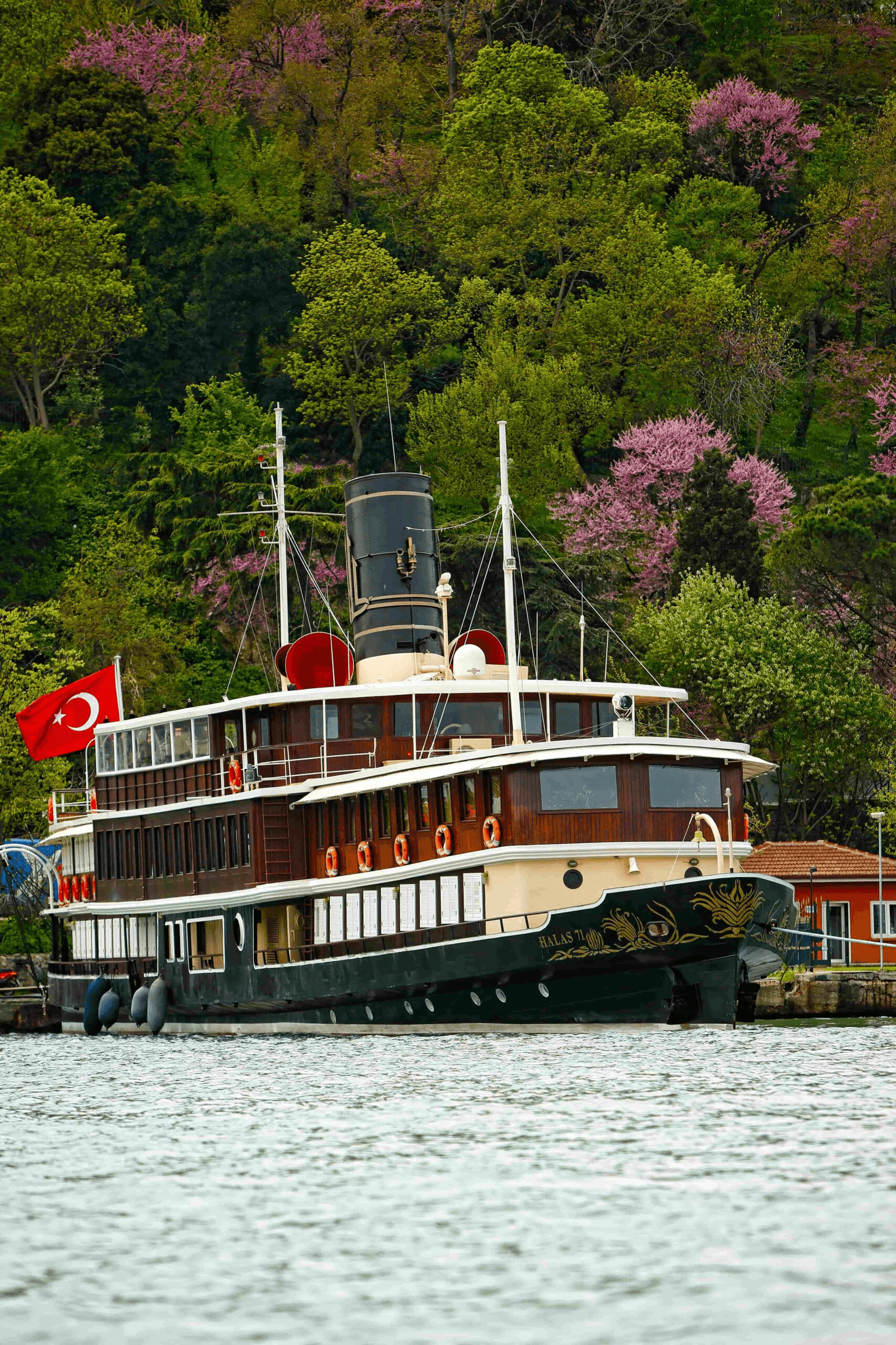A Century-Old Legacy: M/Y HALAS 71