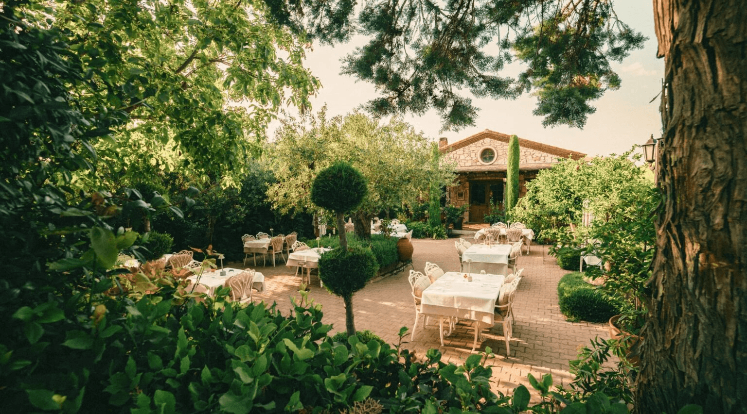 Seray and Ozan Kumbasar’s Vino Locale Journey