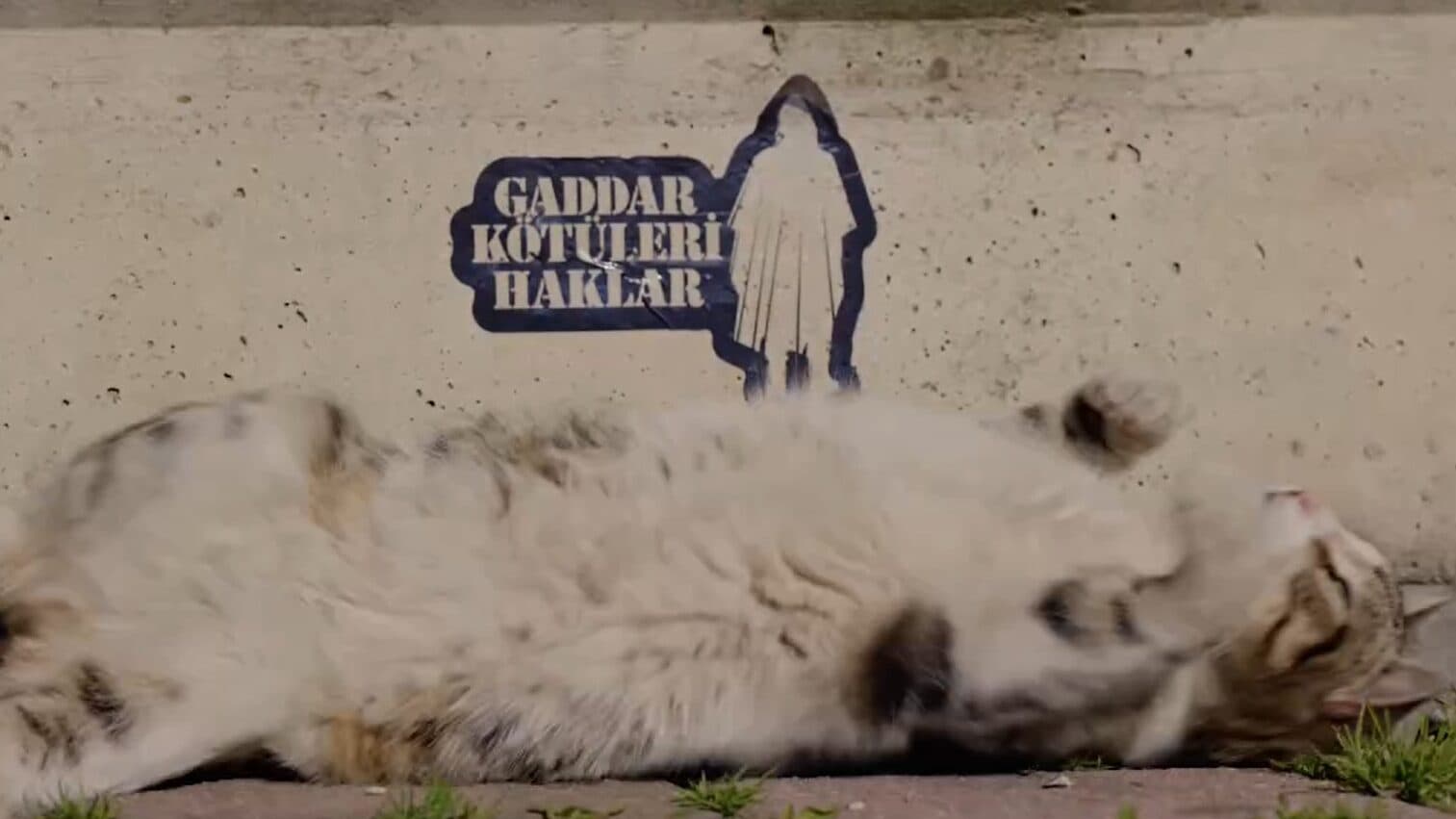 vigilante gaddar edited