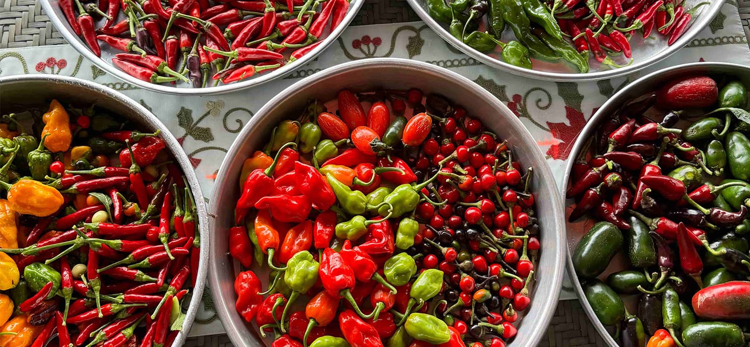 Hem Leziz Hem Yenilikçi: Çok Acı Olmuş