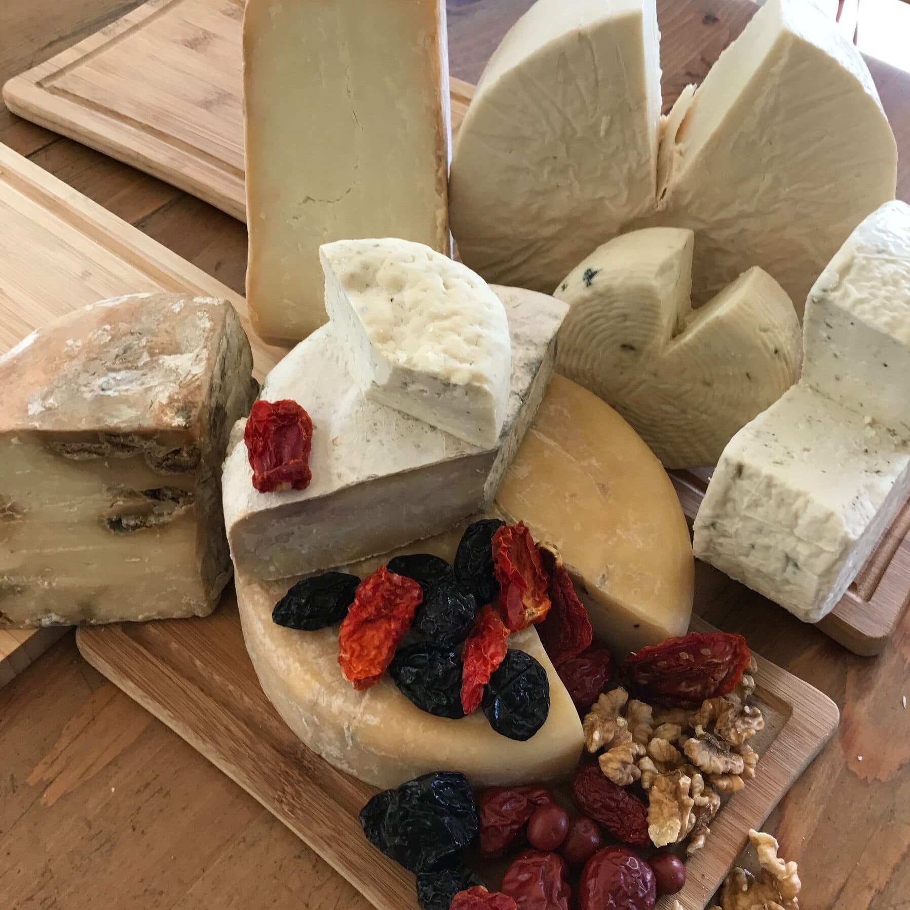 maya bozcaada 04 edited