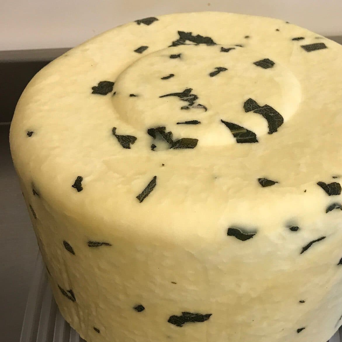 maya bozcaada 06 edited 1