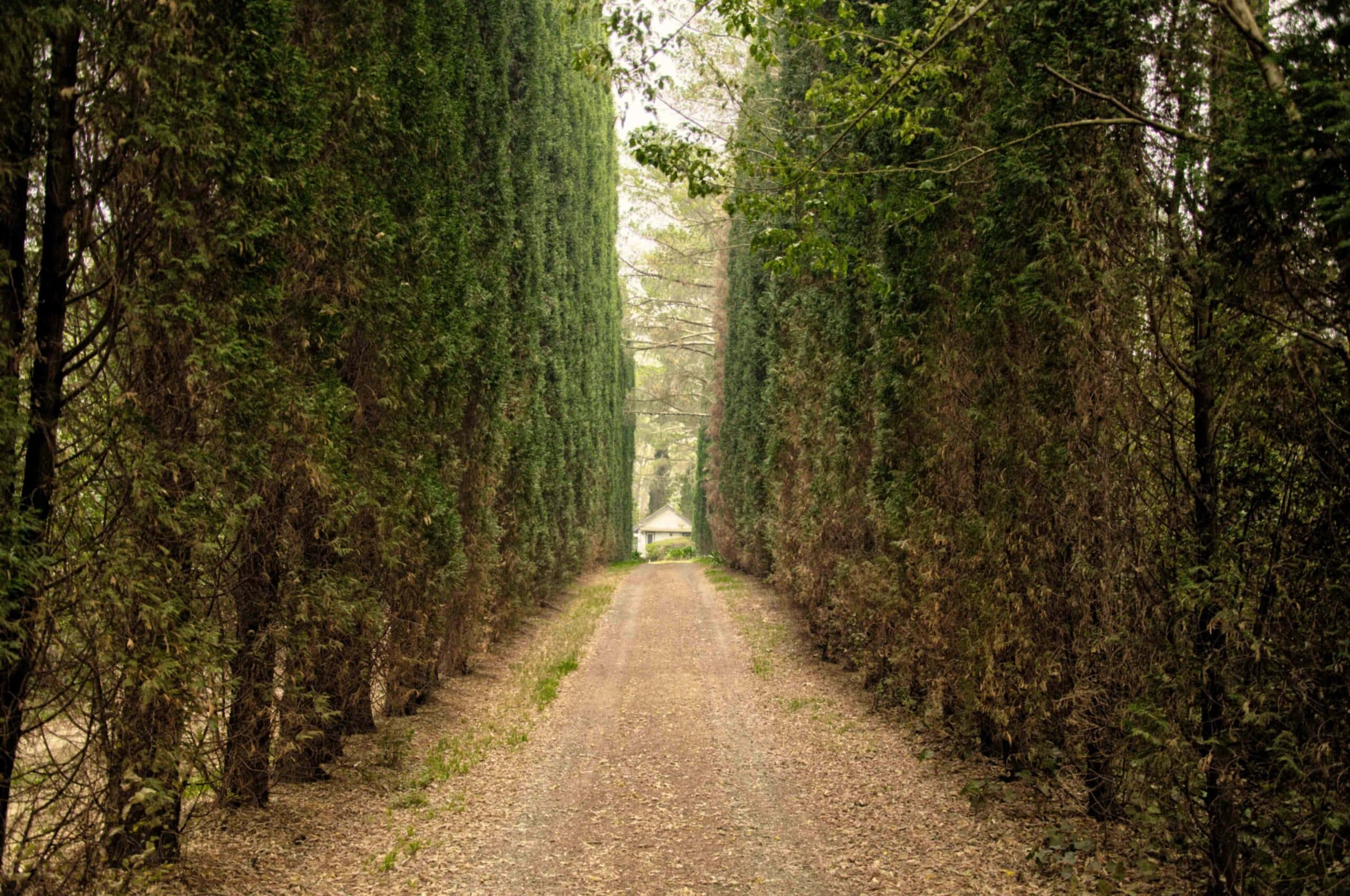 Şehirden Kaçış: Sessiz Rotalar