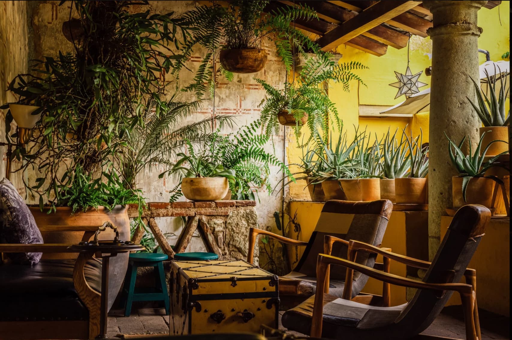 Oaxaca - Bar & Gece Hayatı