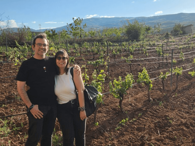 2025 Harvest Panorama