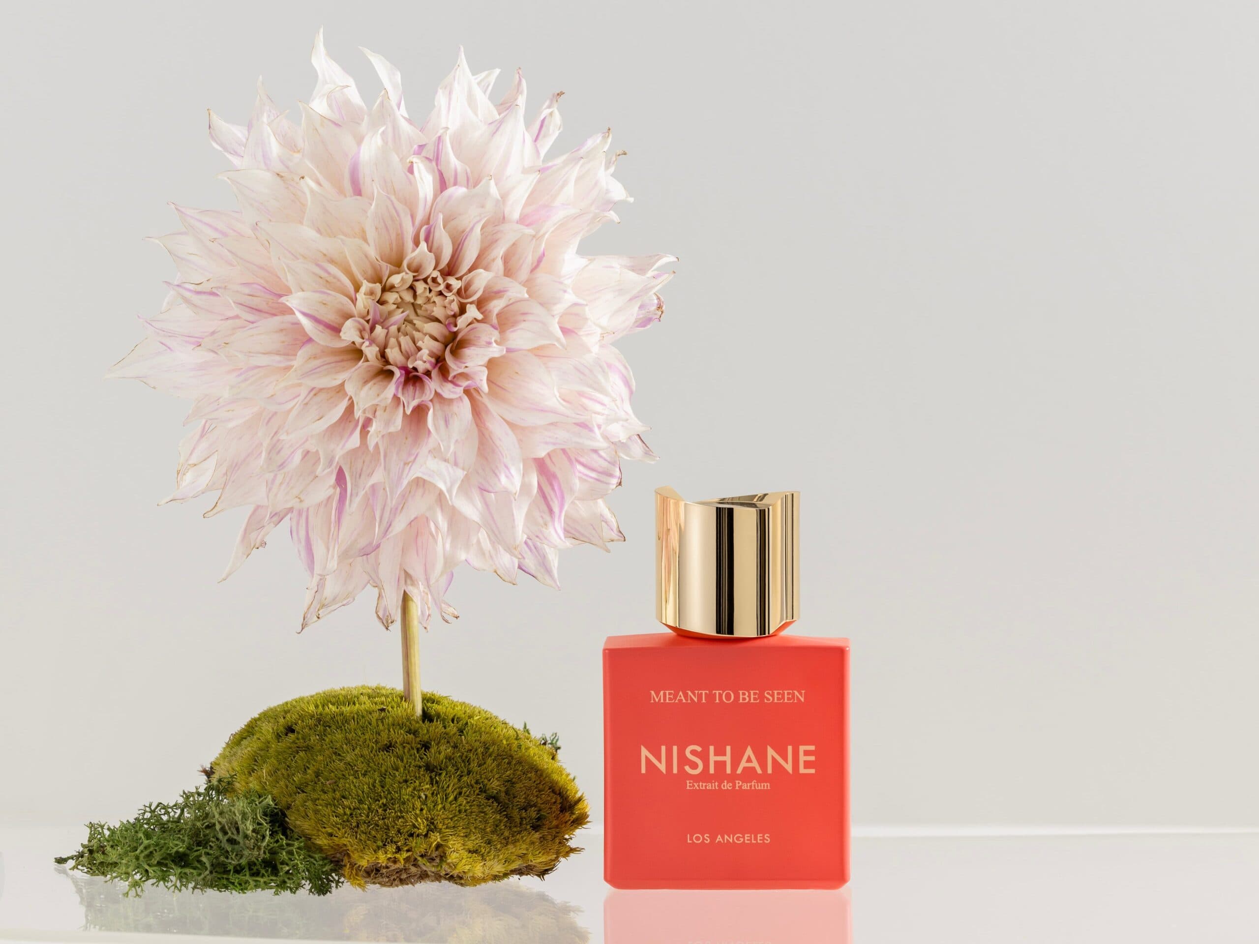 Nishane "Meant to be Seen"