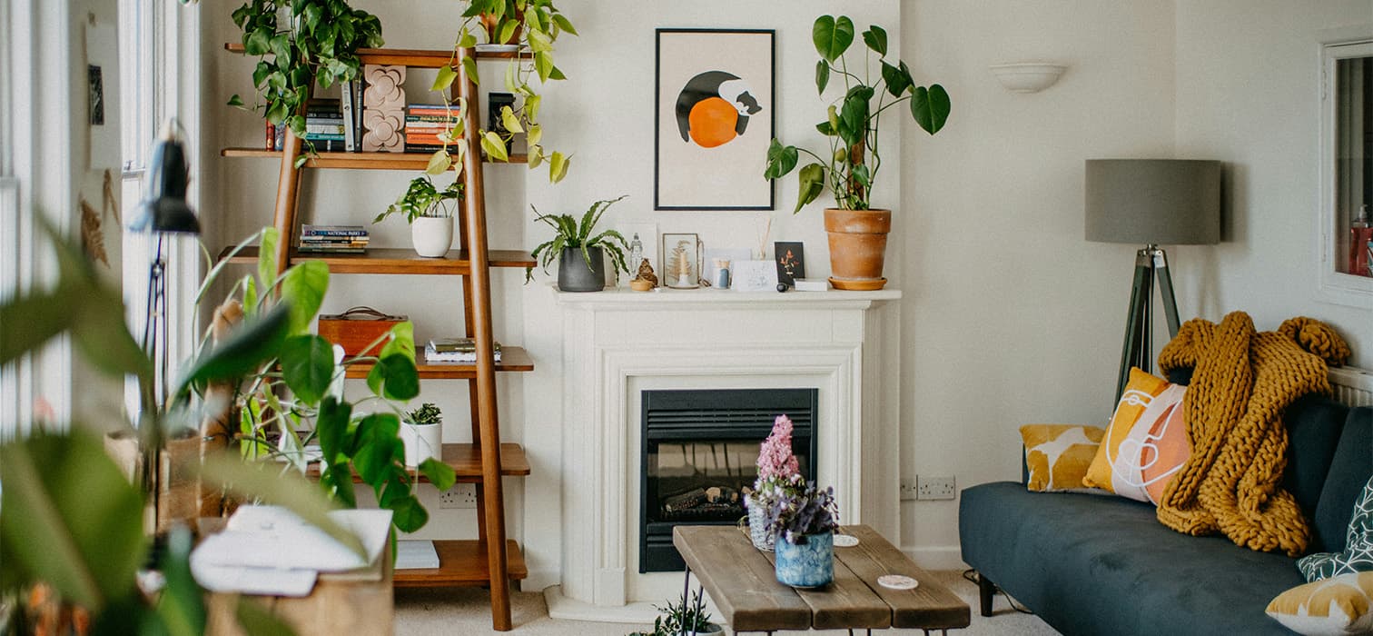 Evinizde Kullanabileceğiniz 11 Feng Shui Bitkisi
