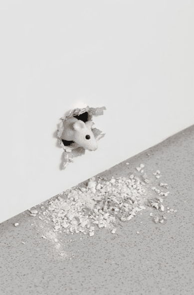 The Storyteller of Everyday Life: Ryan Gander