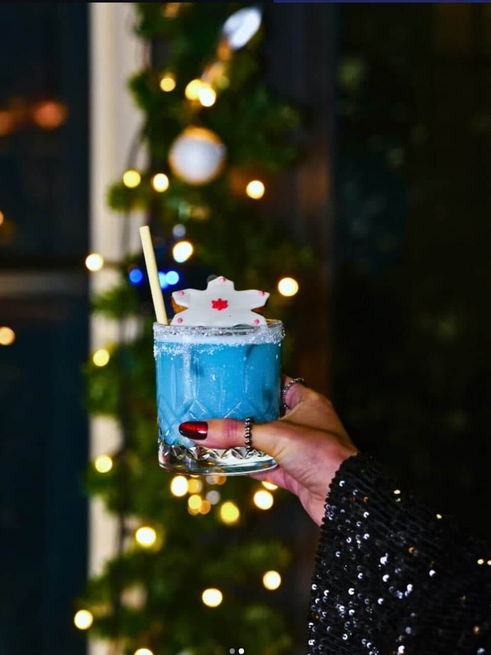 2026 yilbasi programlari madera 01 edited