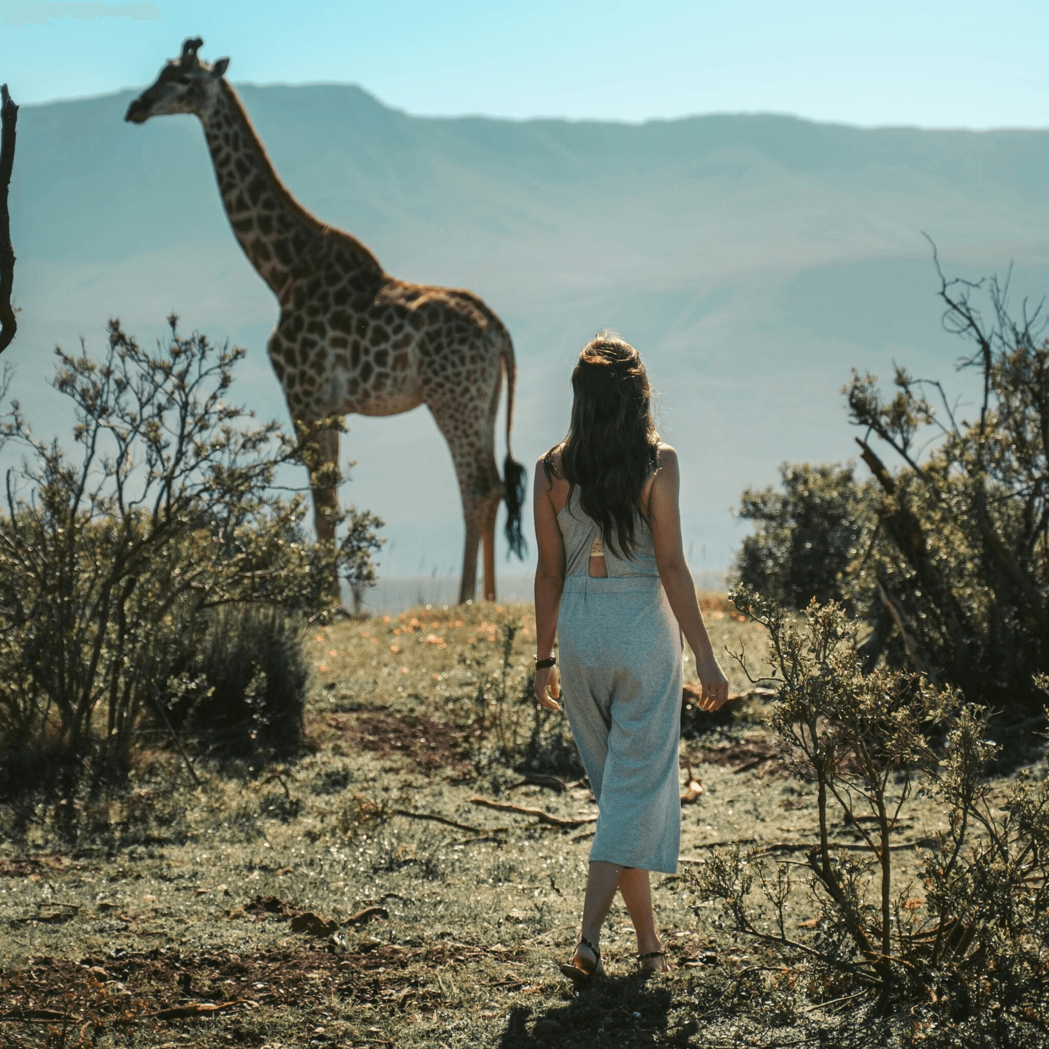 2026 Travel Trends