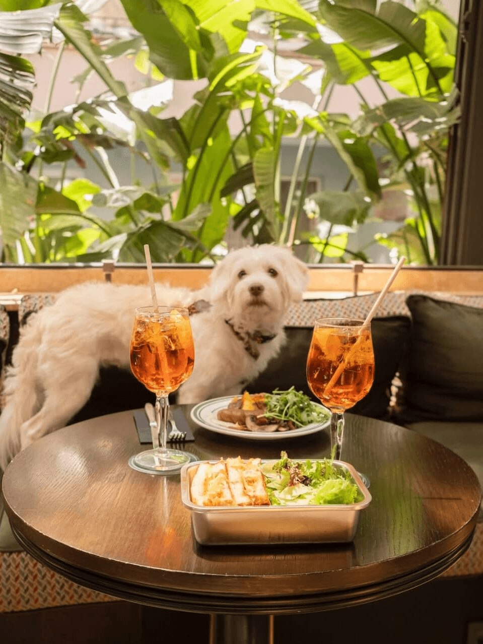 Nişantaşı’s Trendiest Spots