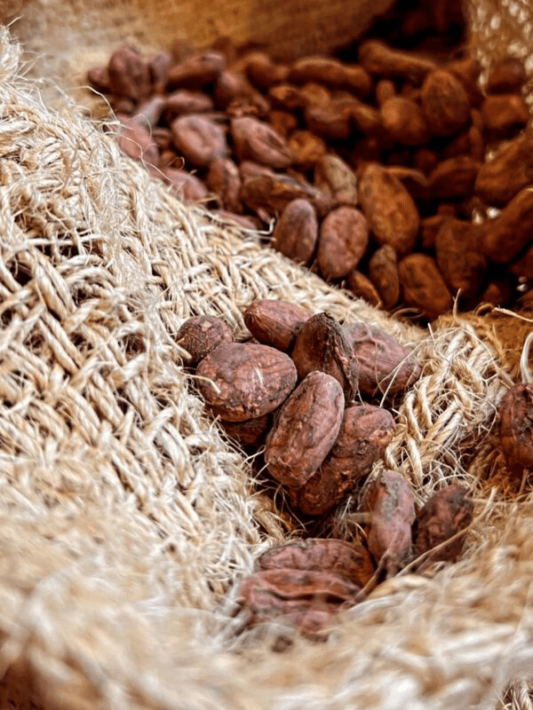 The Story of the Cocoa Bean at O Atölye: Chocolate as an Ancient Craft