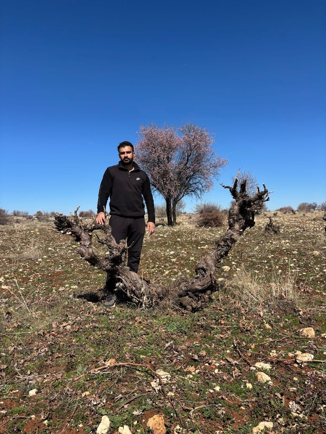 midin sarapcilik lucas 01 rotated