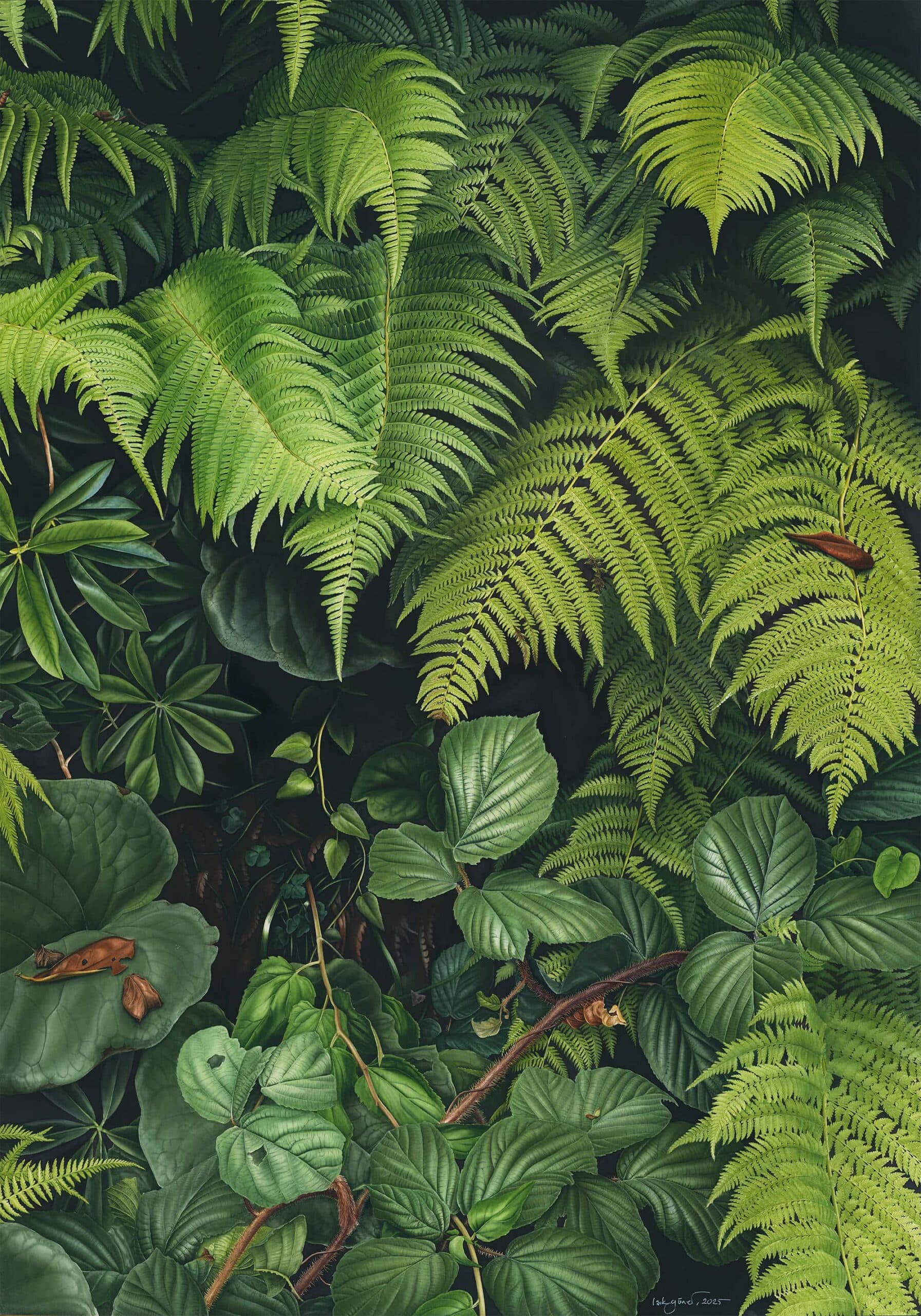rooted Isik Guner FOREST 300