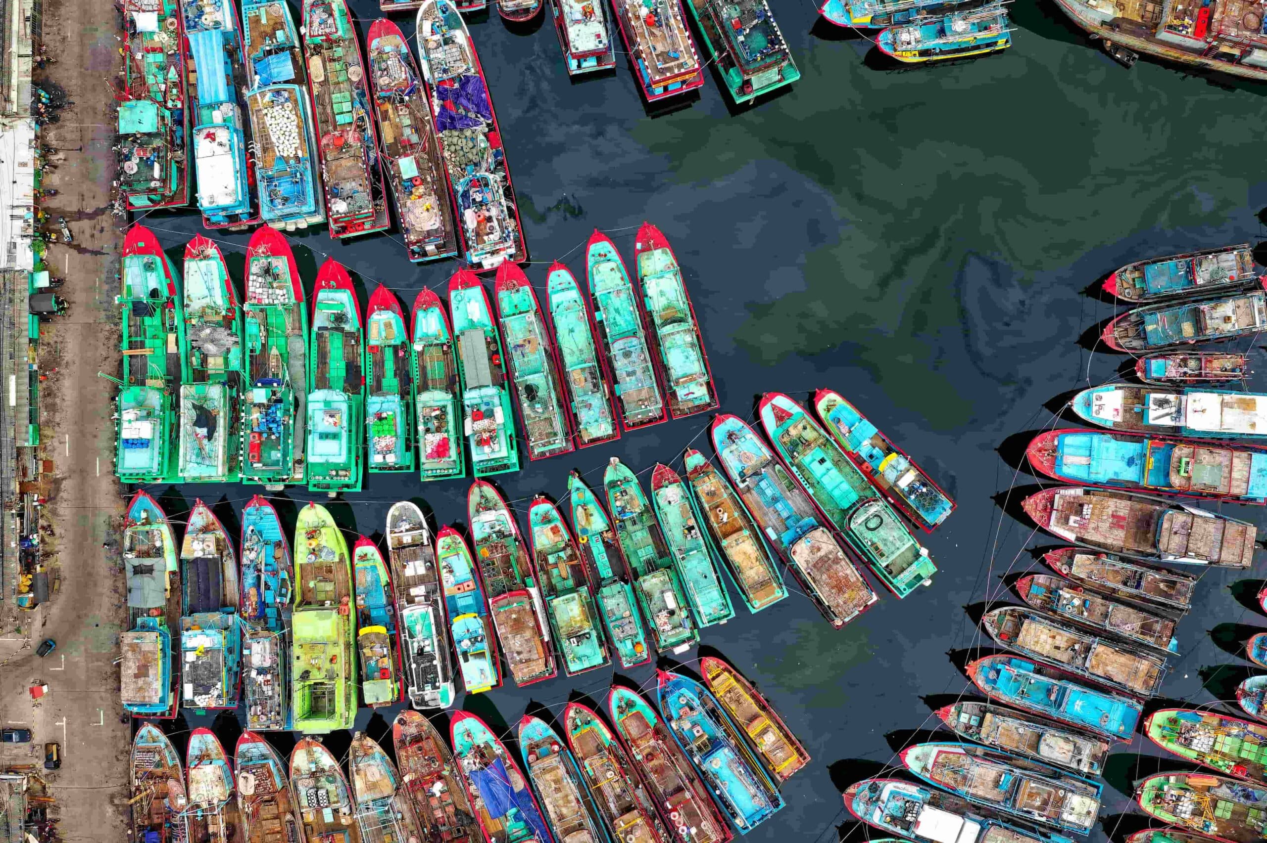 tukenen rotalar cakarta 02