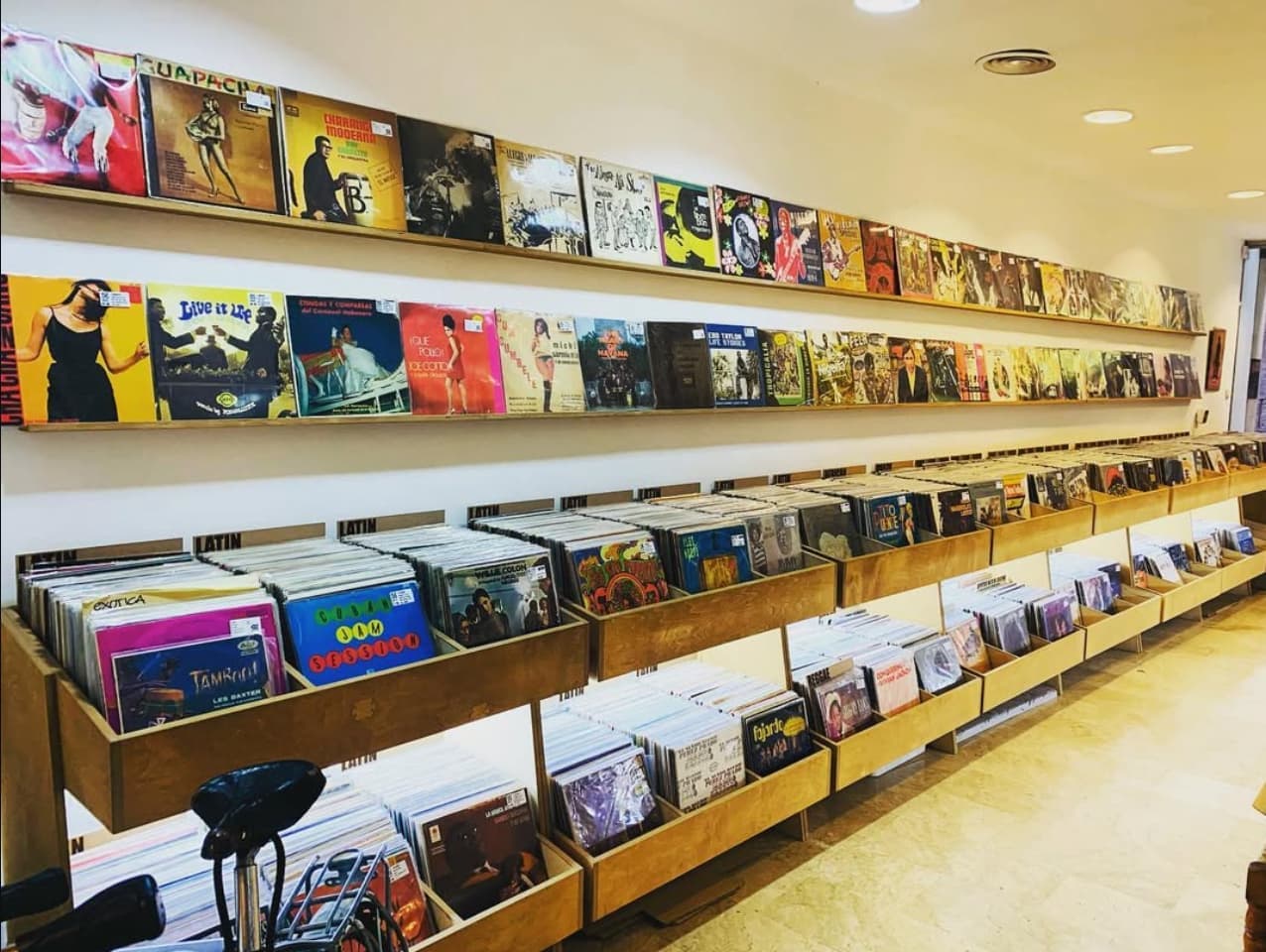 dunyanin en iyi plakcilari barc