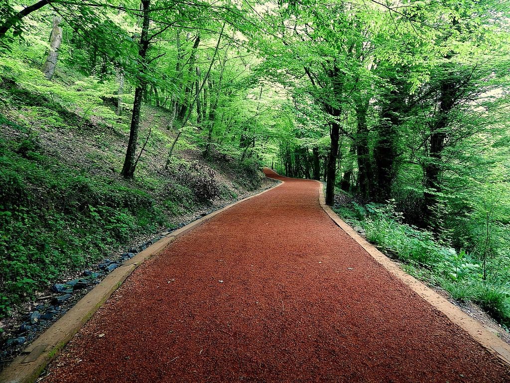 belgrad ormanlari eyupsultan belediyesi