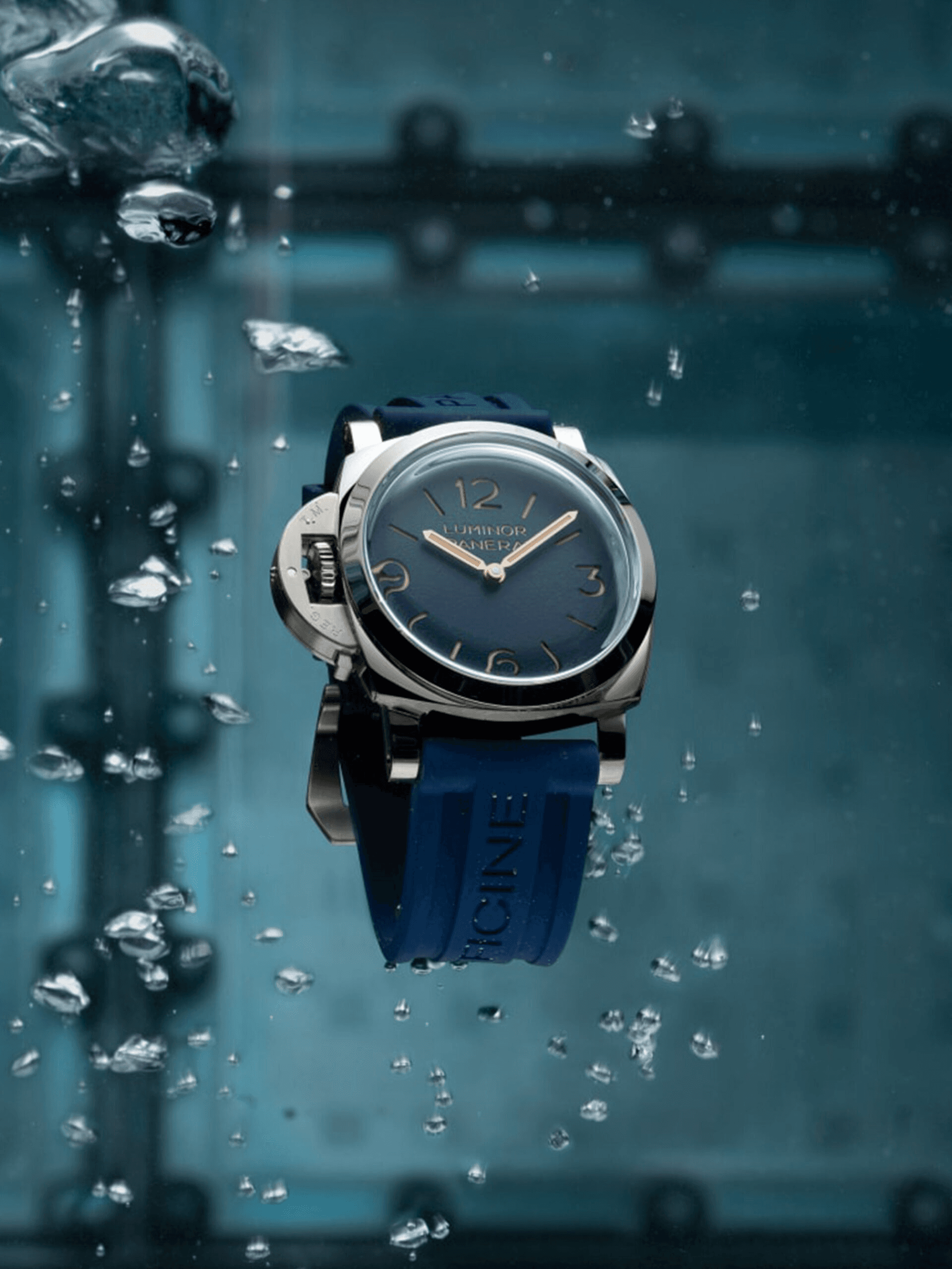 PAM01731 ve PAM01732
