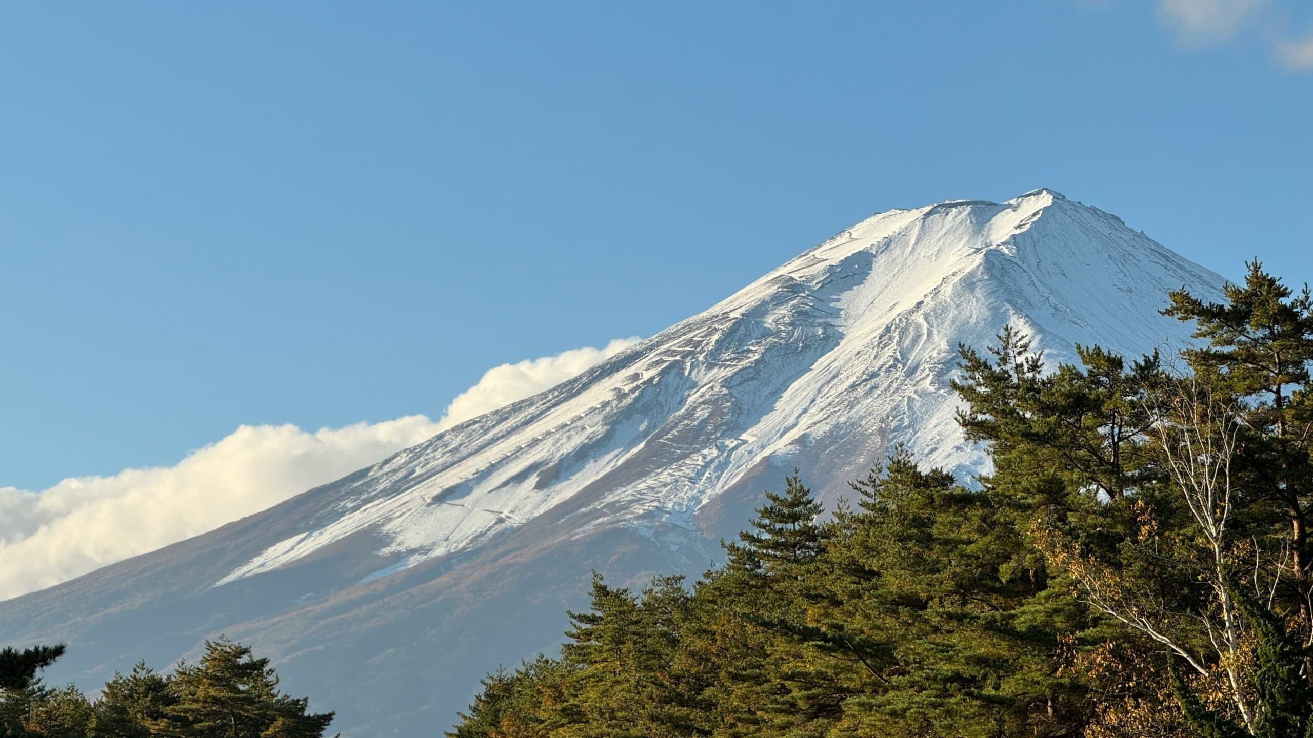Doğudan Yükselen Denge: Japon Viskisi