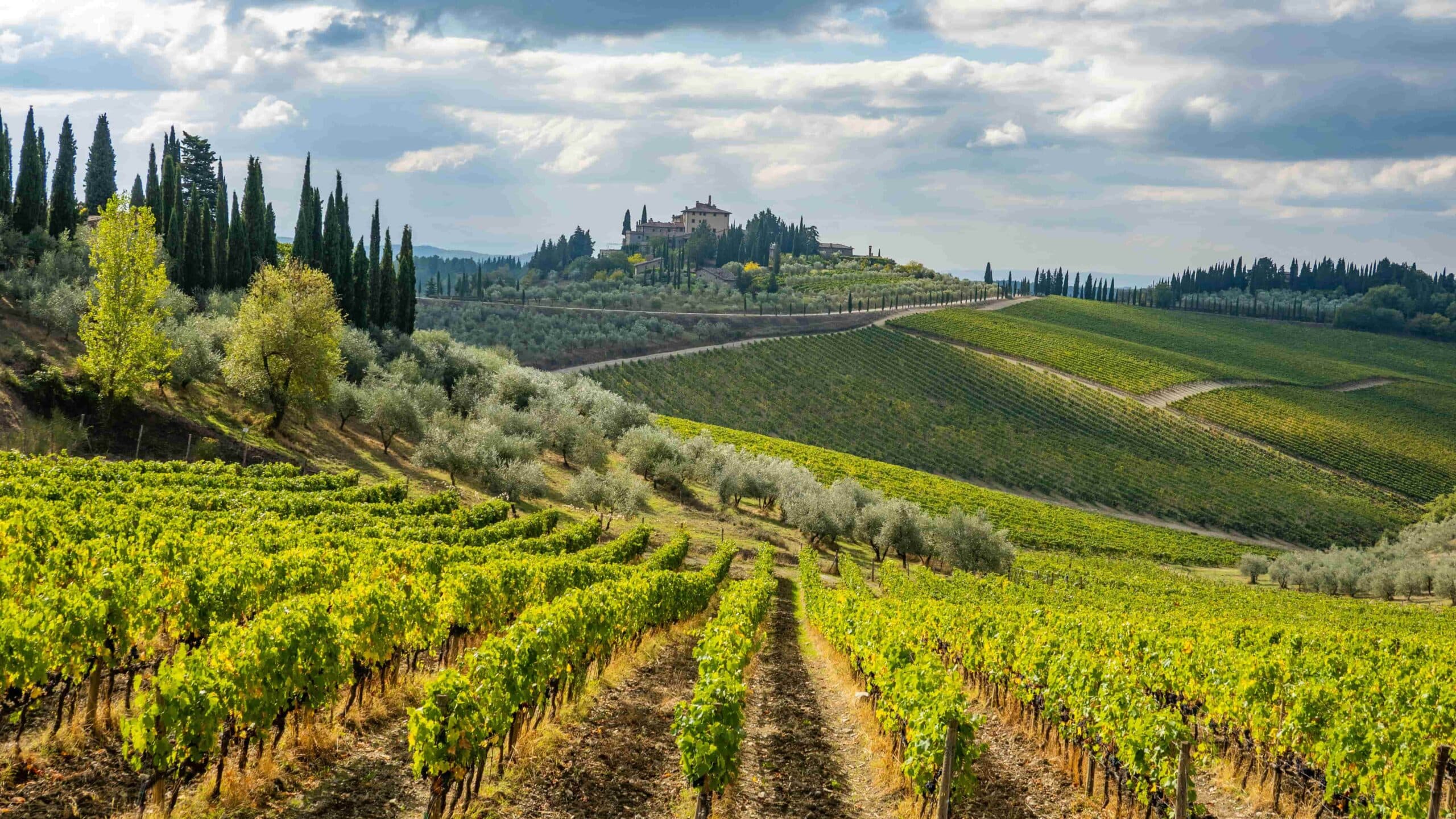Chianti 02