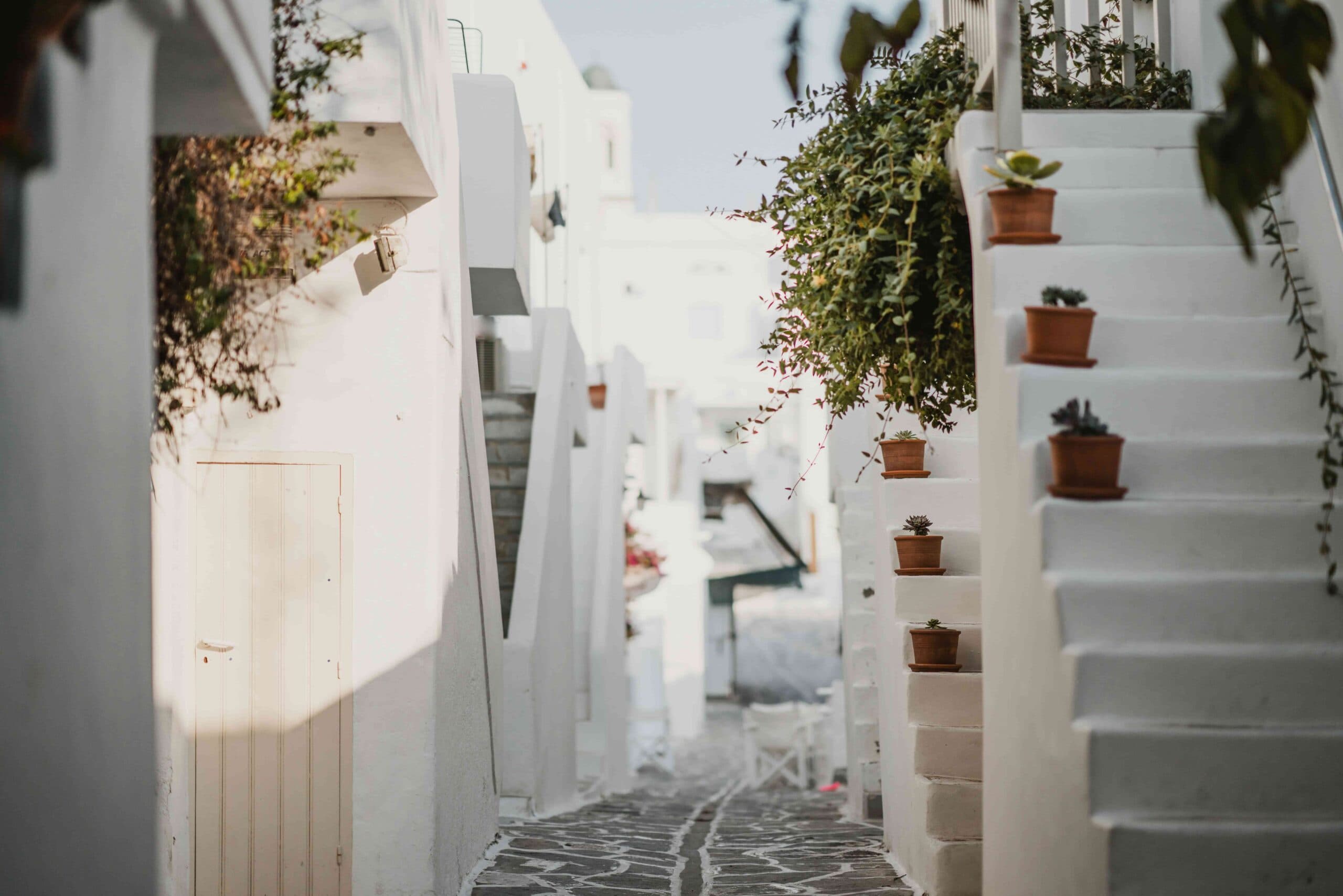 yunan adalari rehberi paros
