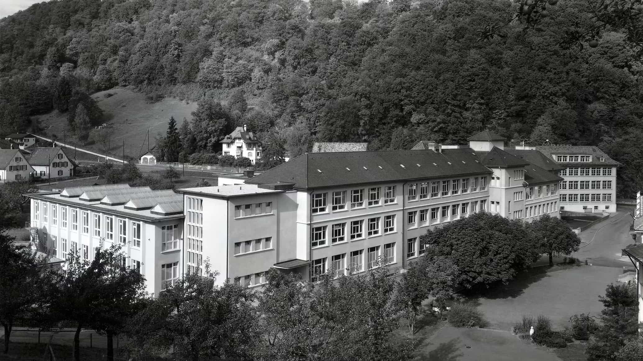 Bir Nehrin Kıyısından Dünyaya: Oris’in Tarihi