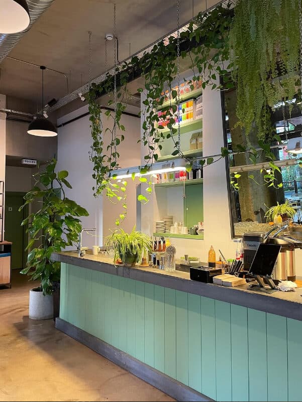 Cafe Fern
