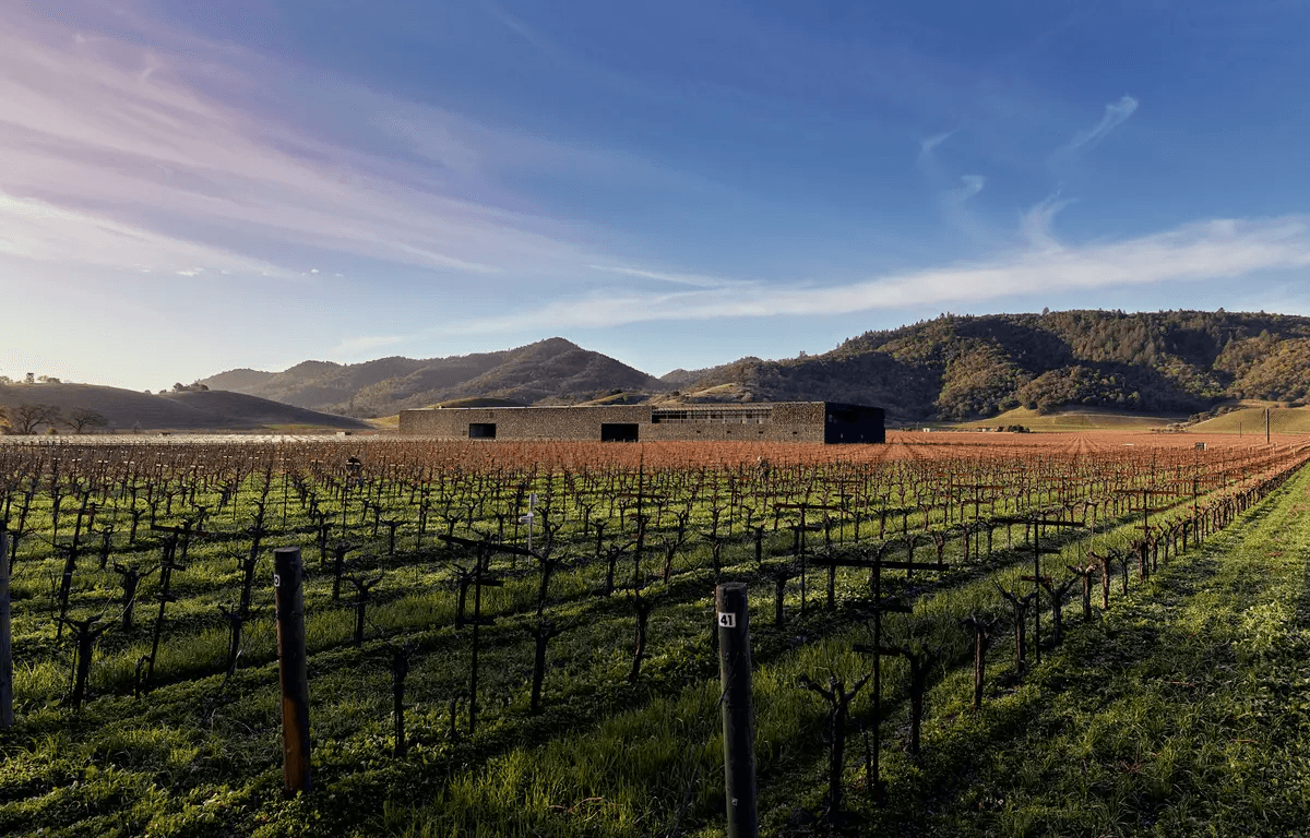 The World’s Most Beautifully Designed Wineries