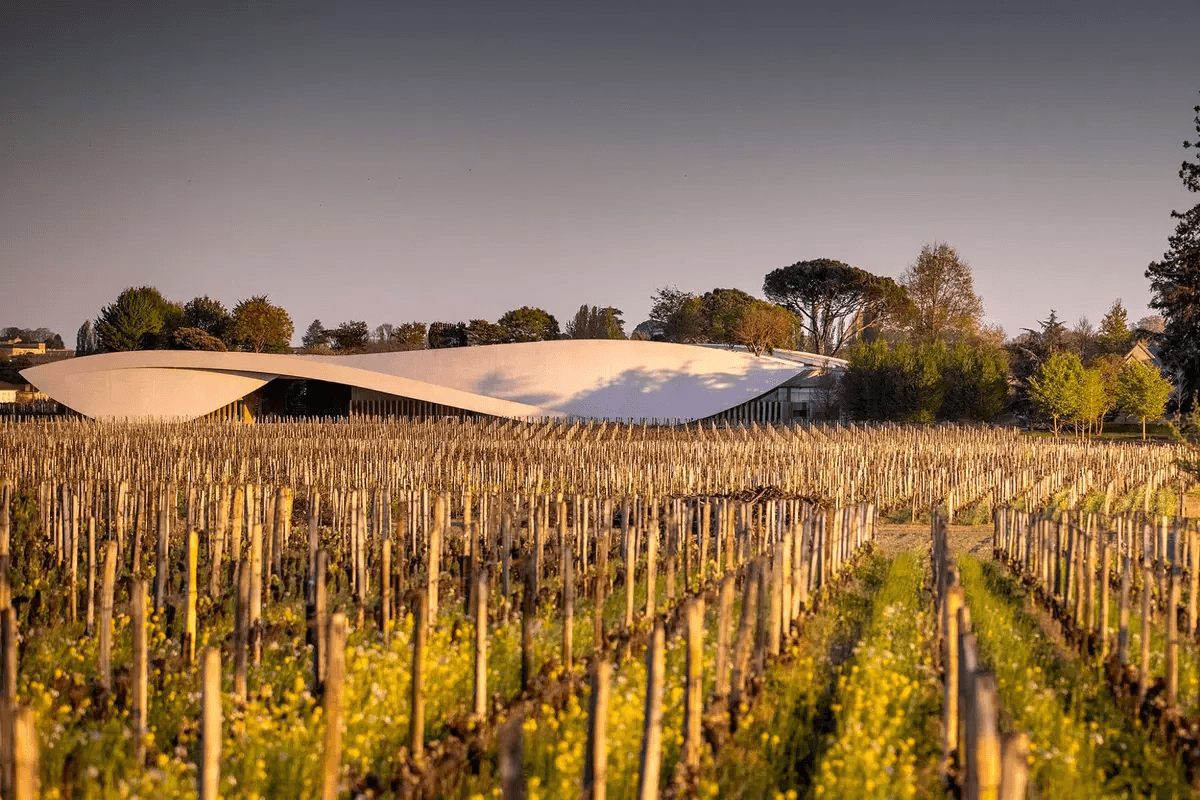 The World’s Most Beautifully Designed Wineries