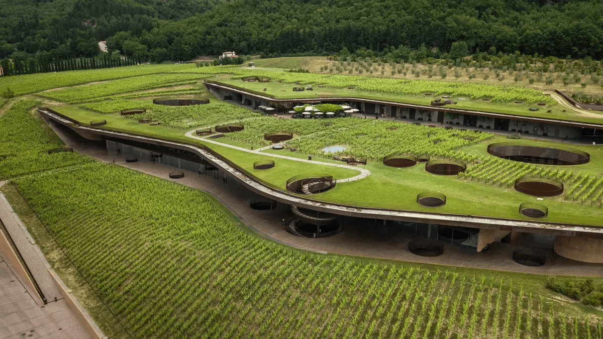 The World’s Most Beautifully Designed Wineries