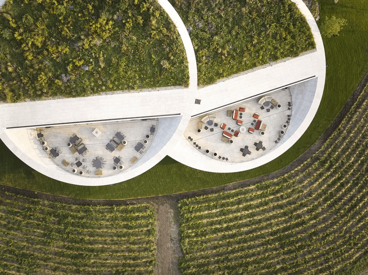 The World’s Most Beautifully Designed Wineries