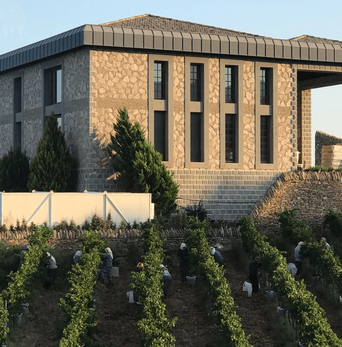 The World’s Most Beautifully Designed Wineries