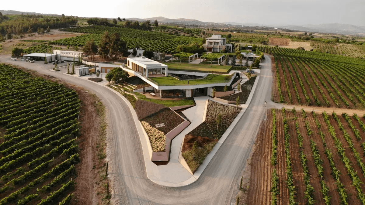 The World’s Most Beautifully Designed Wineries