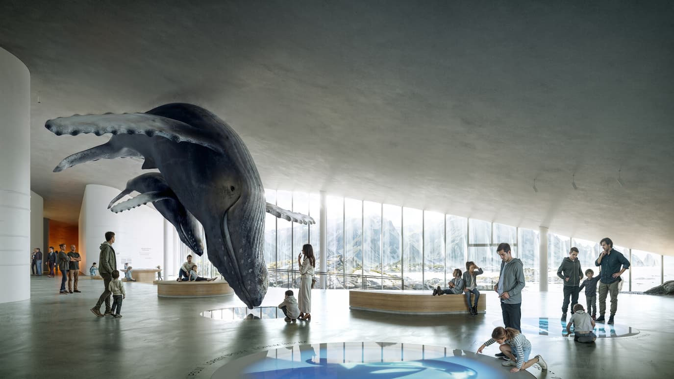 The Whale