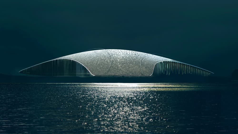 The Whale