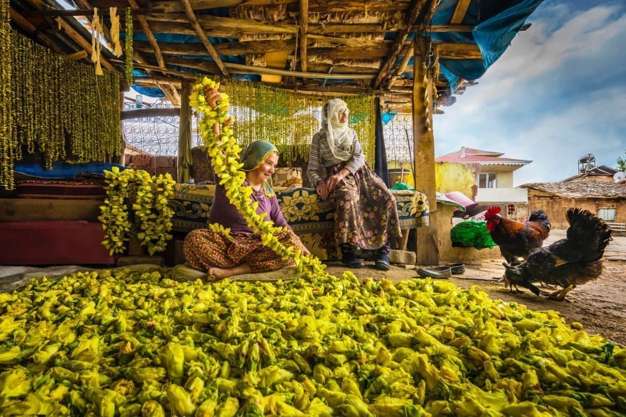 F Dilek Uyar Drying Okra hi res