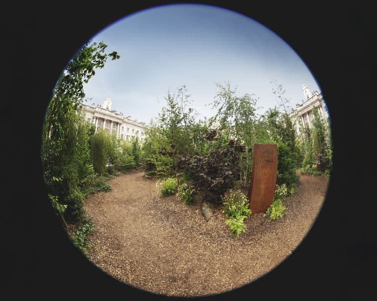 Bu görsel boş bir alt niteliğe sahip; dosya adı burberry-climate-positive-commitment-c-courtesy-of-burberry-1623404242.jpeg