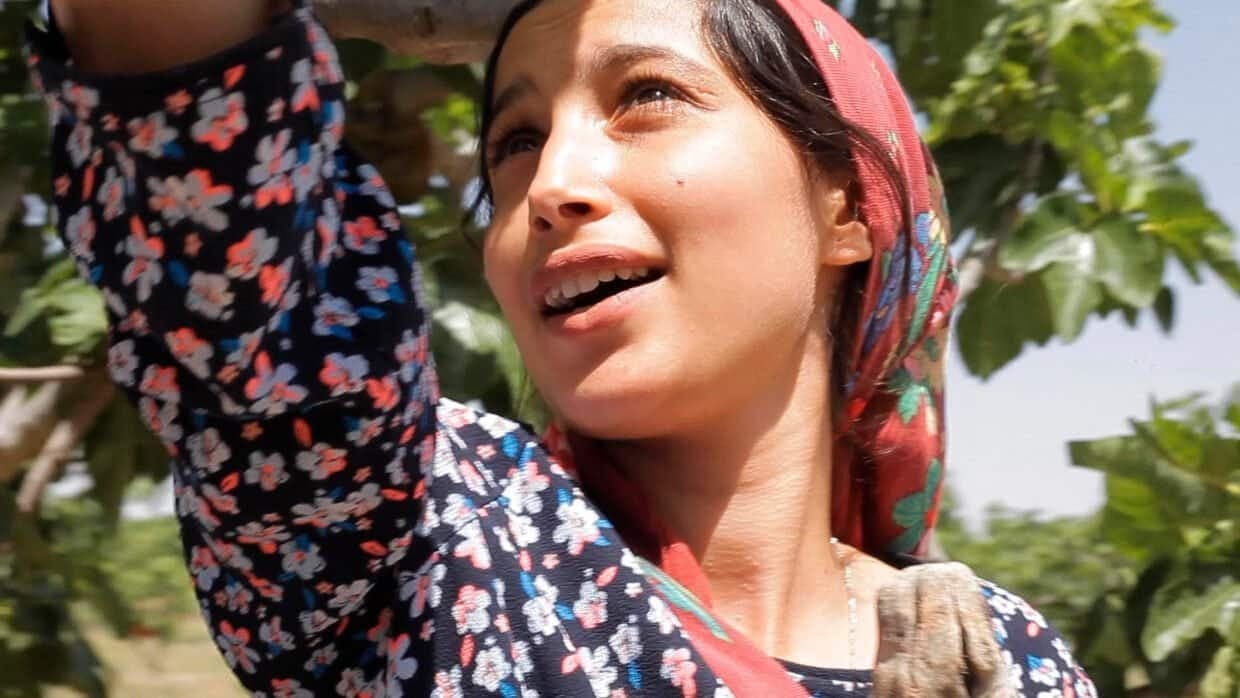 Filmekimi Başlıyor!