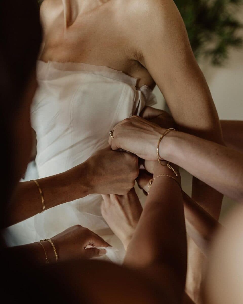 cedarandpines 344588431 756758039160088 4526138219054423122 n