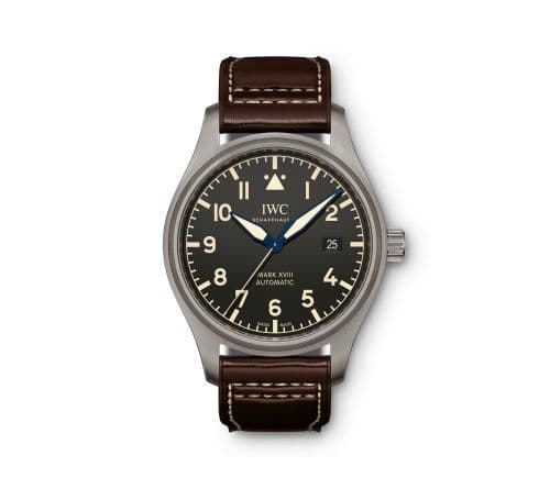 IWC IW3270-06