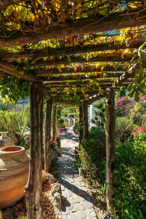 Ischia - Yeme & İçme