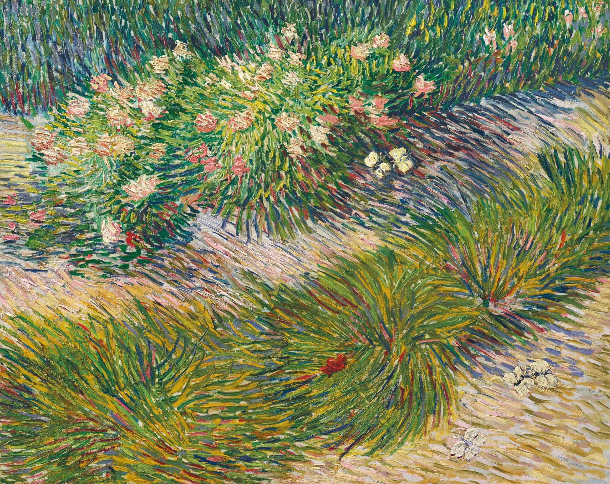 Coin De Jardin Avec Papillons