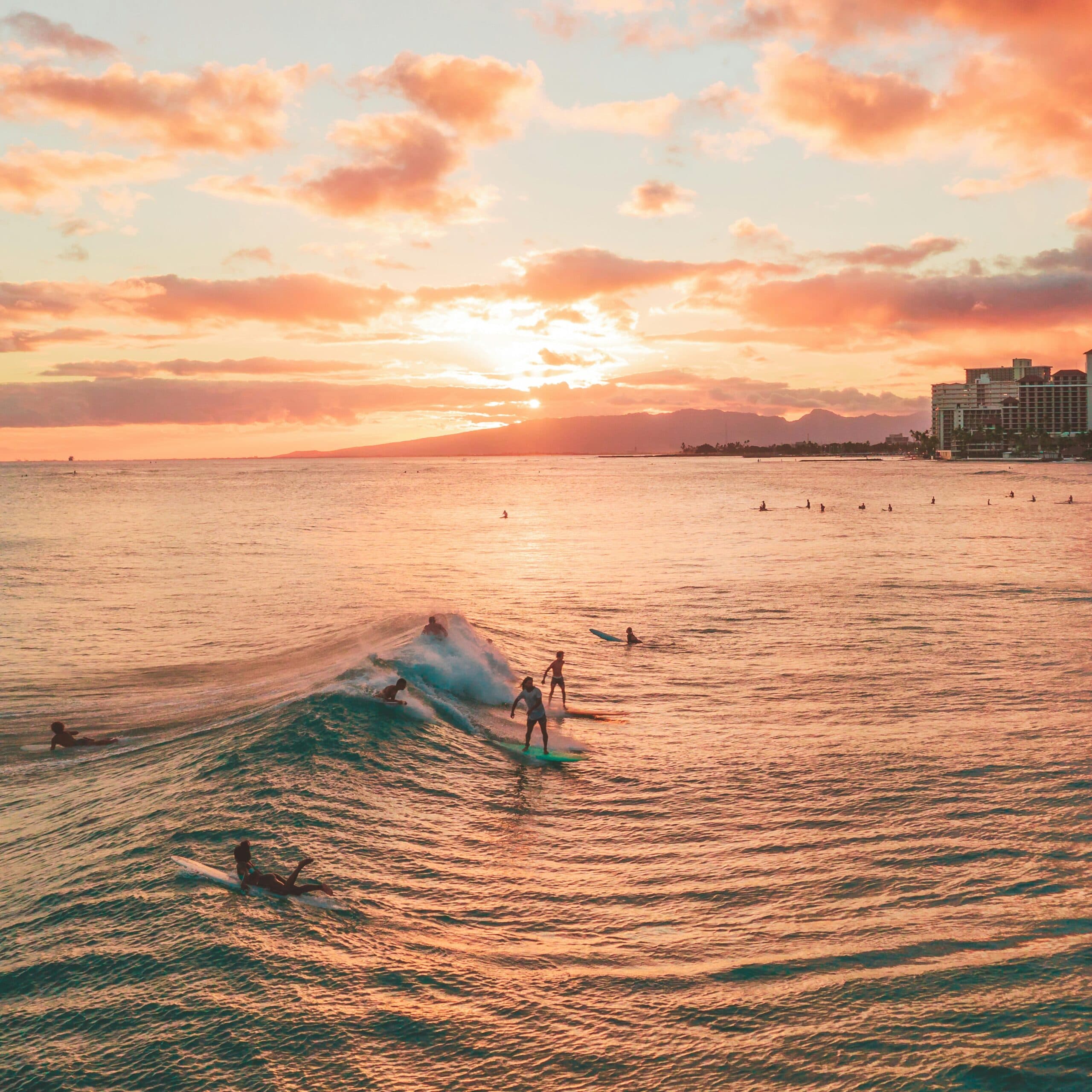 blue zone diyeti mvi edited