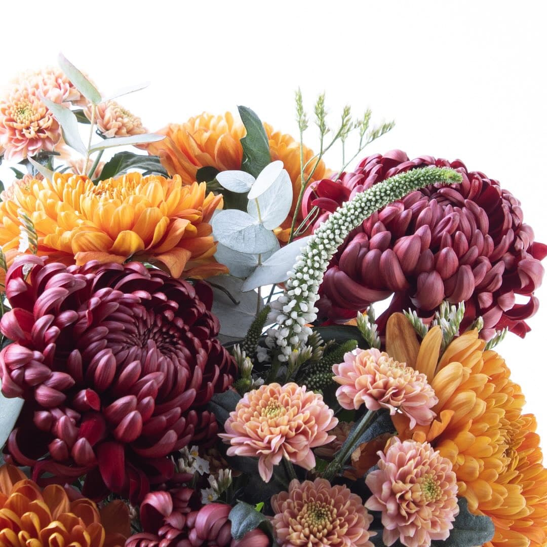 Photo by Bloom and Fresh on February 25 2025