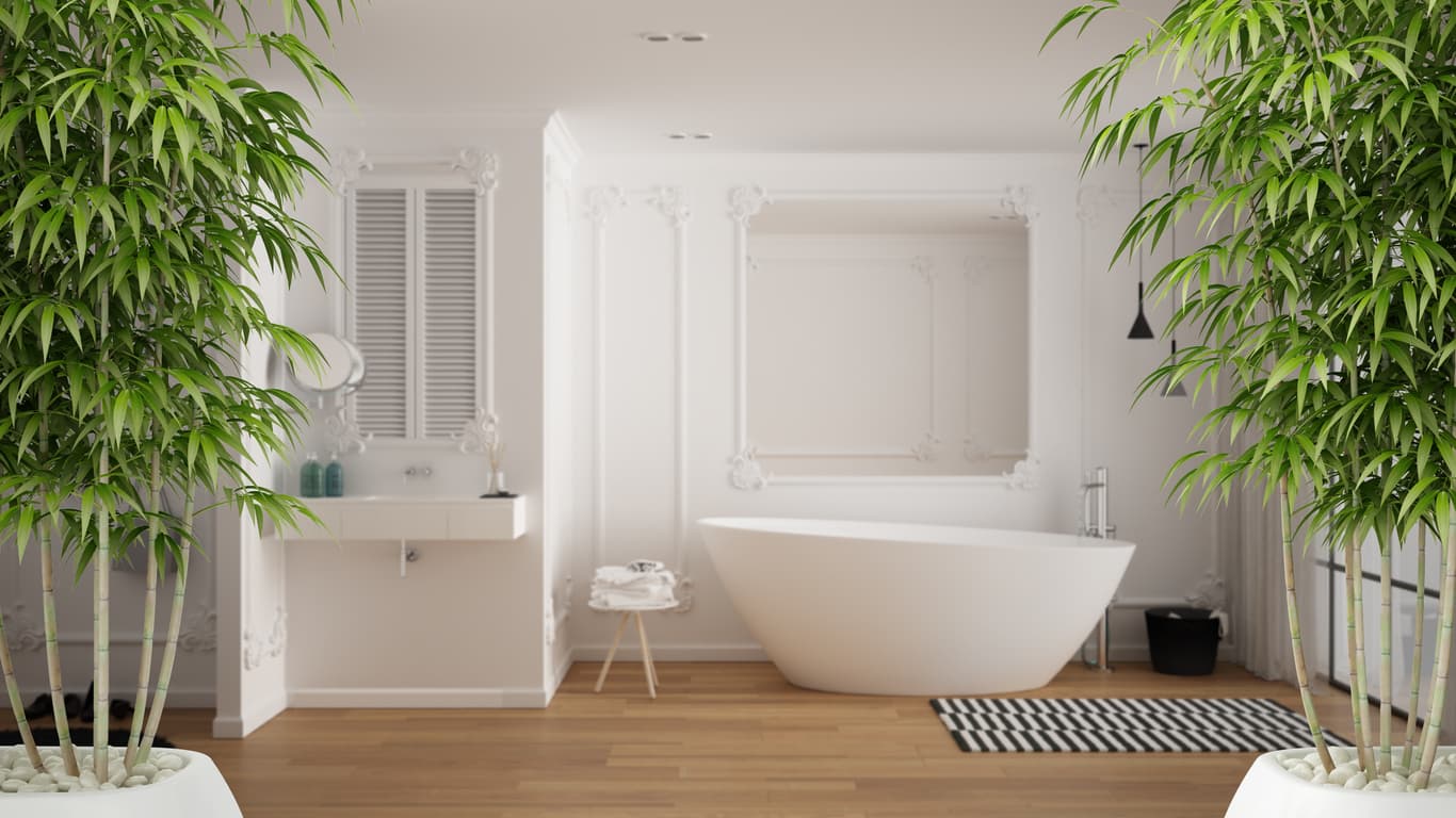 9 Feng Shui Steps to Transform the Energy of Your Home