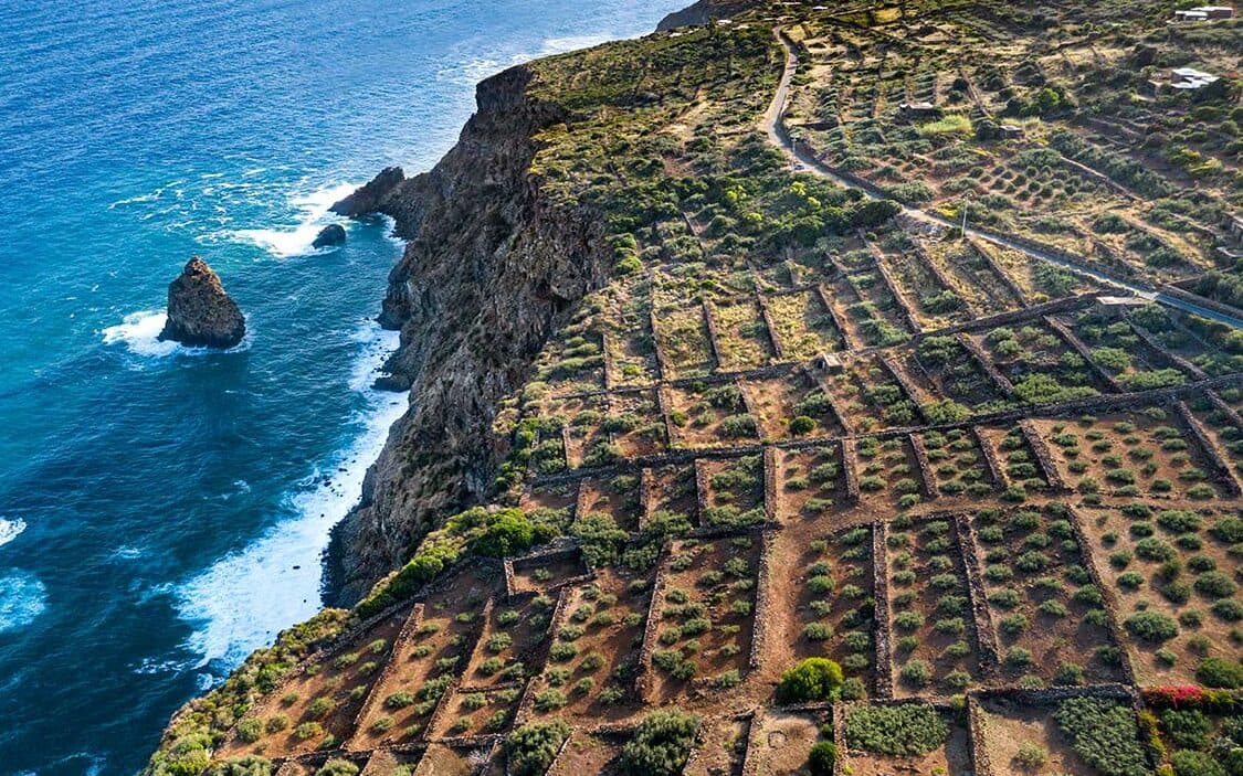 italyanlar tatile nereye gidiyor Donnafugata Pantelleria Vigneti 01