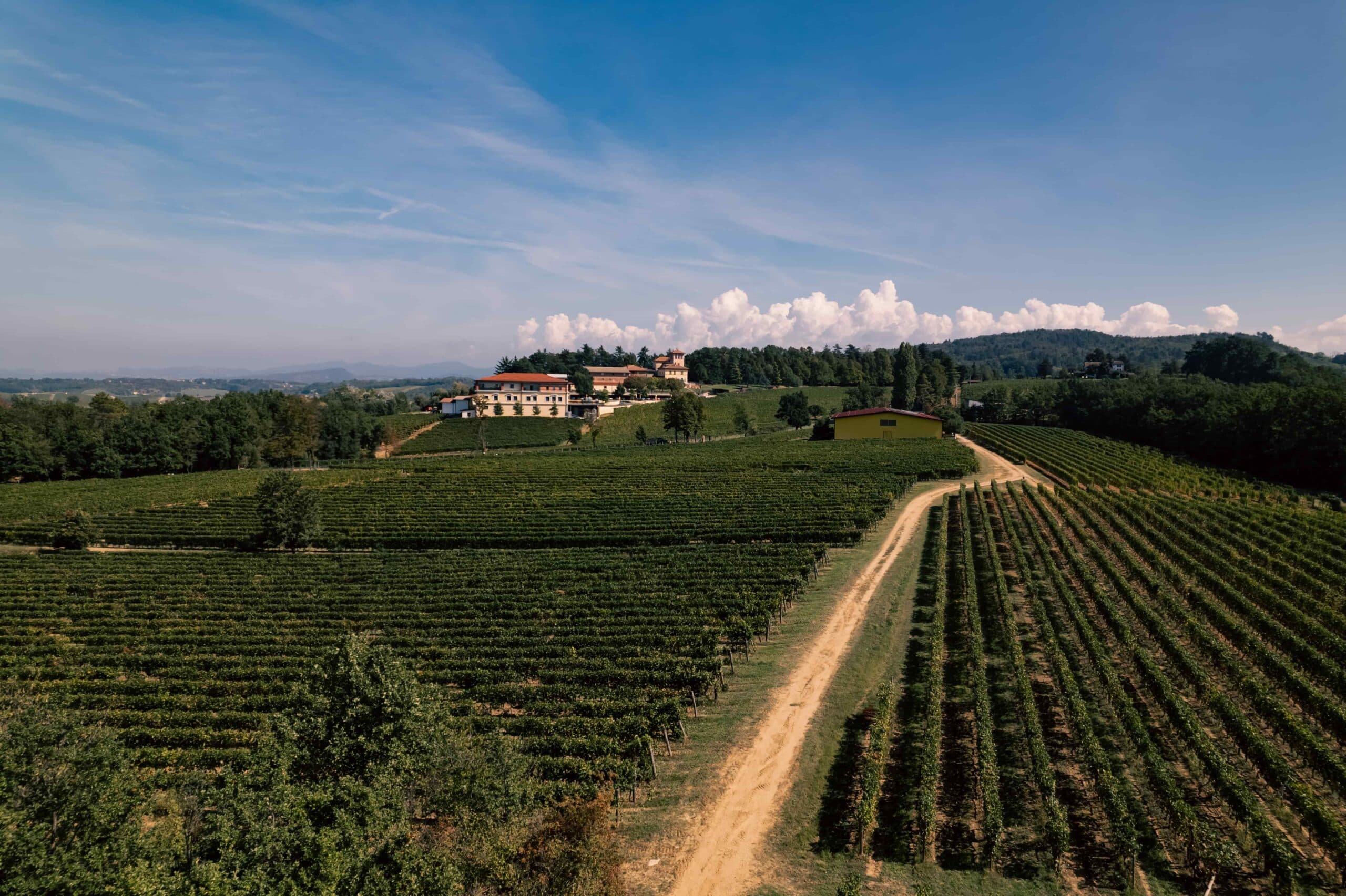 La Scolca – Piedmont, 2025 Bağbozumu